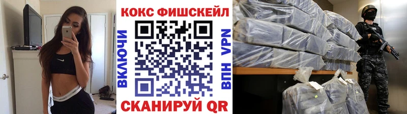 Купить закладки  Вилючинск  Cocaine Эквадор 