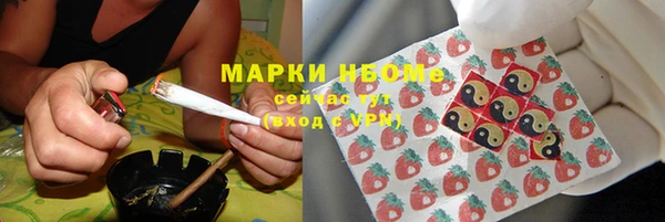 прущие грибы Армянск