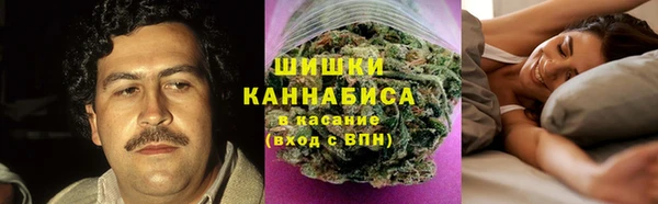 прущие грибы Армянск