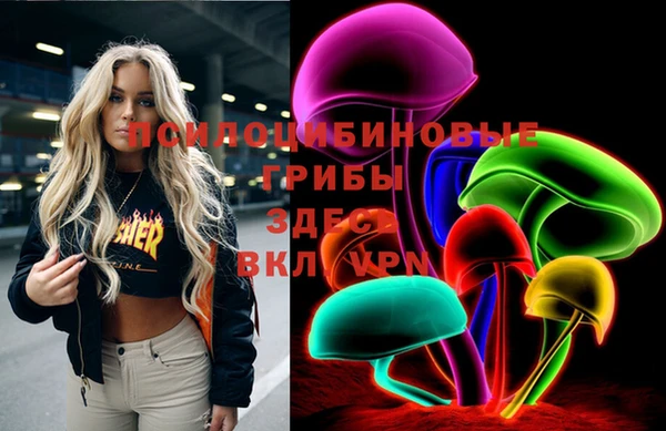 PSILOCYBIN Алексин