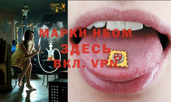 прущие грибы Армянск
