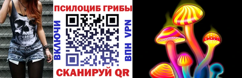 Купить где  Вилючинск  Галлюциногенные грибы мухоморы 